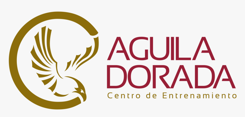 Logo Aguila Dorada Png , Png Download - Illustration, Transparent Png