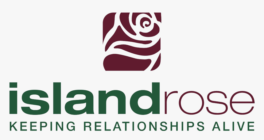 For Any Questions Or Clarifications, Please E-mail - Graphic Design, HD Png Download