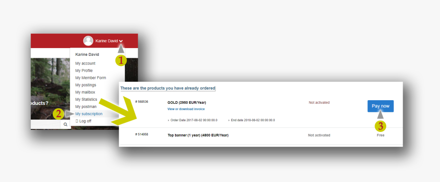 Screenshot, HD Png Download , Transparent Png Image - PNGitem