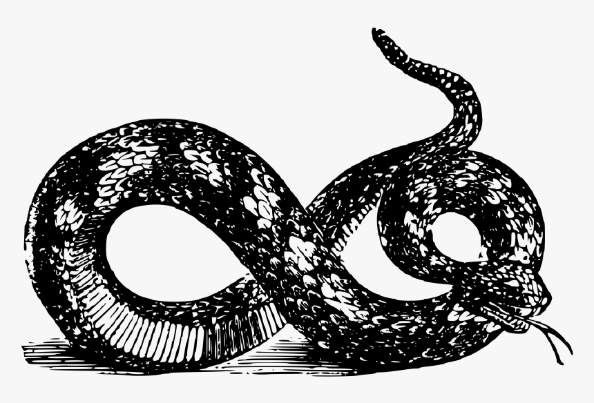 Viper Clipart 2 Snake - Gadsden Flag Black And White Hd, HD Png Download