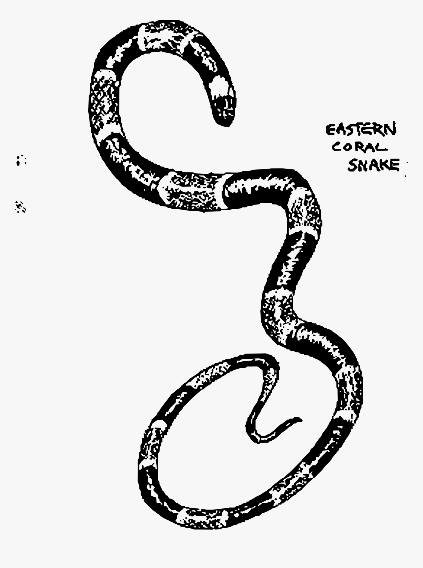 Eastern Coral Snake Clip Arts - Snake Images For Snake Ladder Png Without Background, Transparent Png