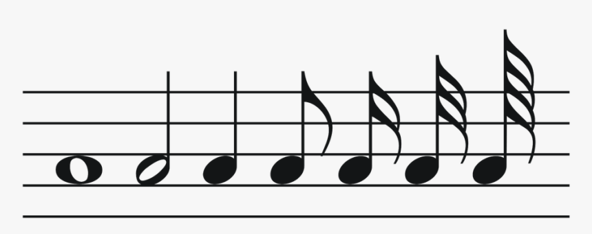 Music Notes Png - Notes From Shortest To Longest, Transparent Png