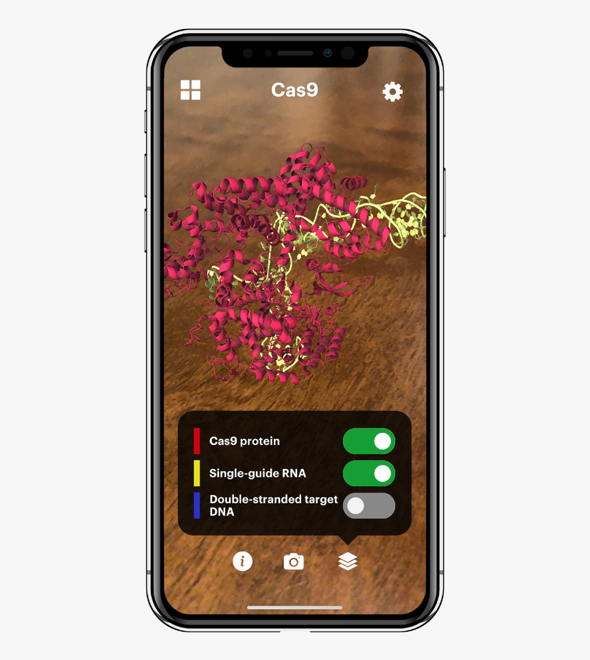 Augmented Reality Model Of Crispr-cas9 Shown On A Cell - Smartphone, HD Png Download