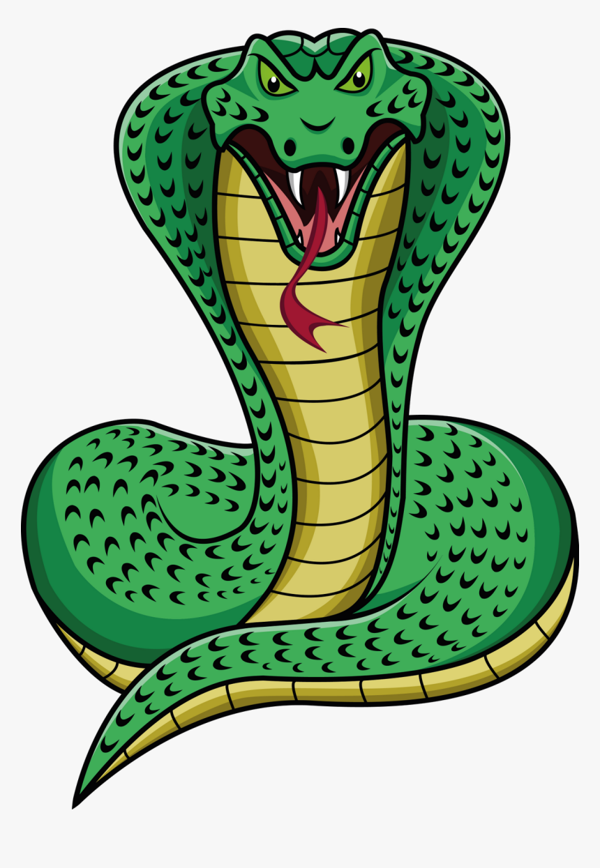 Cobra Png, Transparent Png