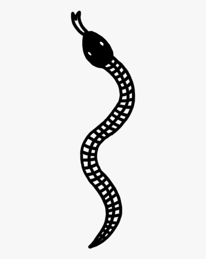 Snake Tattoo Clipart Transparent - Snake Tattoo Transparent Png, Png Download