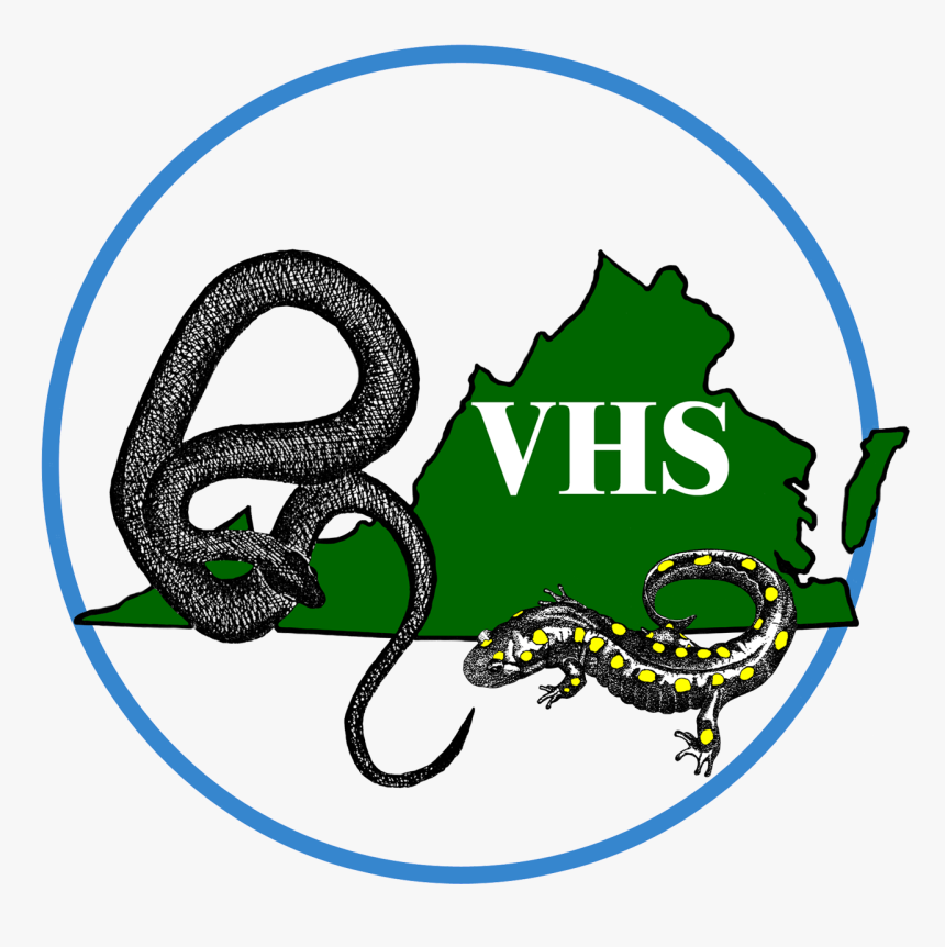Grass Snake - Virginia Herp Society, HD Png Download