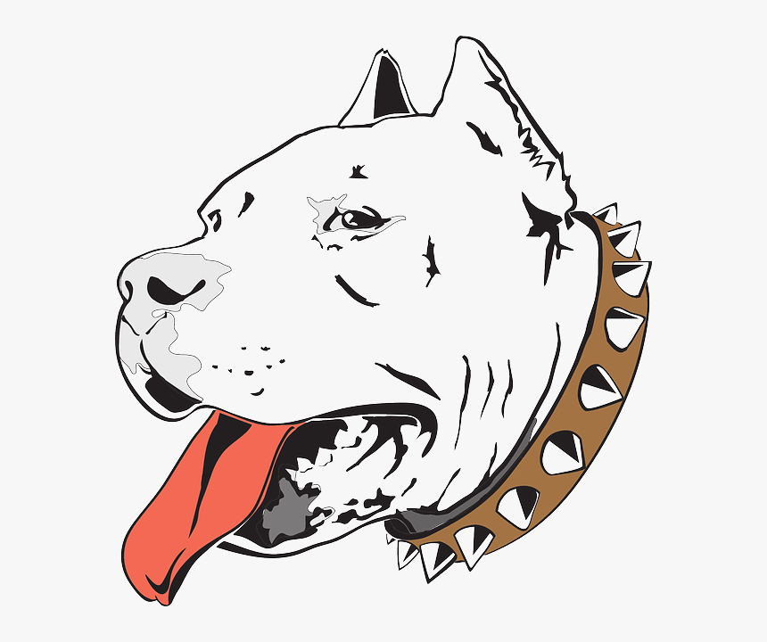 Head Dog Bull Pet - Desenho Pit Bull, HD Png Download