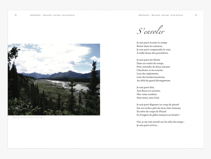 Tree, HD Png Download