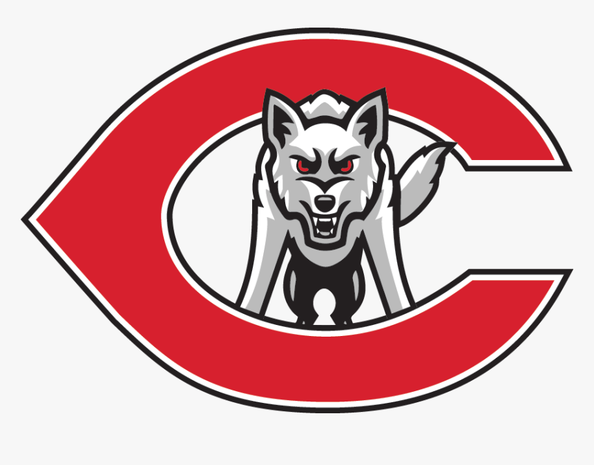 Usssa Baseball Team Lubbock Coyotes U Lubbock Texas - South Dakota Coyotes, HD Png Download