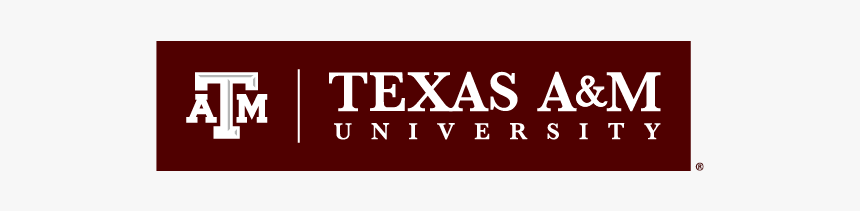 Tam Primary Mark A - Texas A&m University At Qatar Logo, HD Png Download