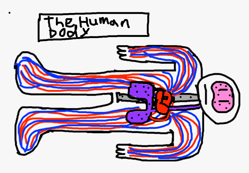 Clip Art, HD Png Download