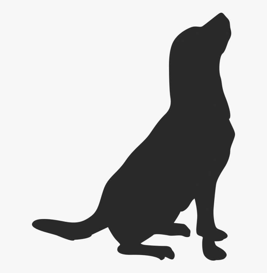 Whiskers American Pit Bull Terrier Drawing Clip Art - Dog, HD Png Download