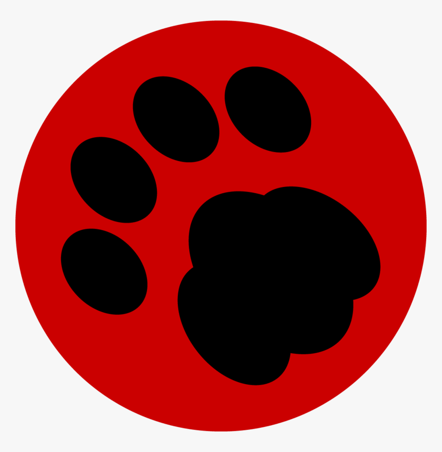 Circle, HD Png Download