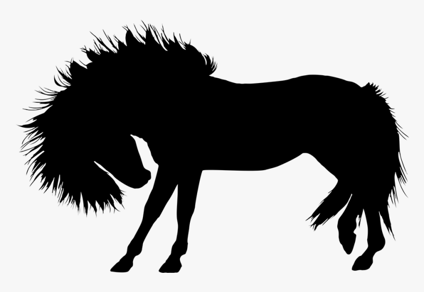 Animal, Equine, Horse, Silhouette, Stallion, Wild - Redbubble Horse Stickers, HD Png Download
