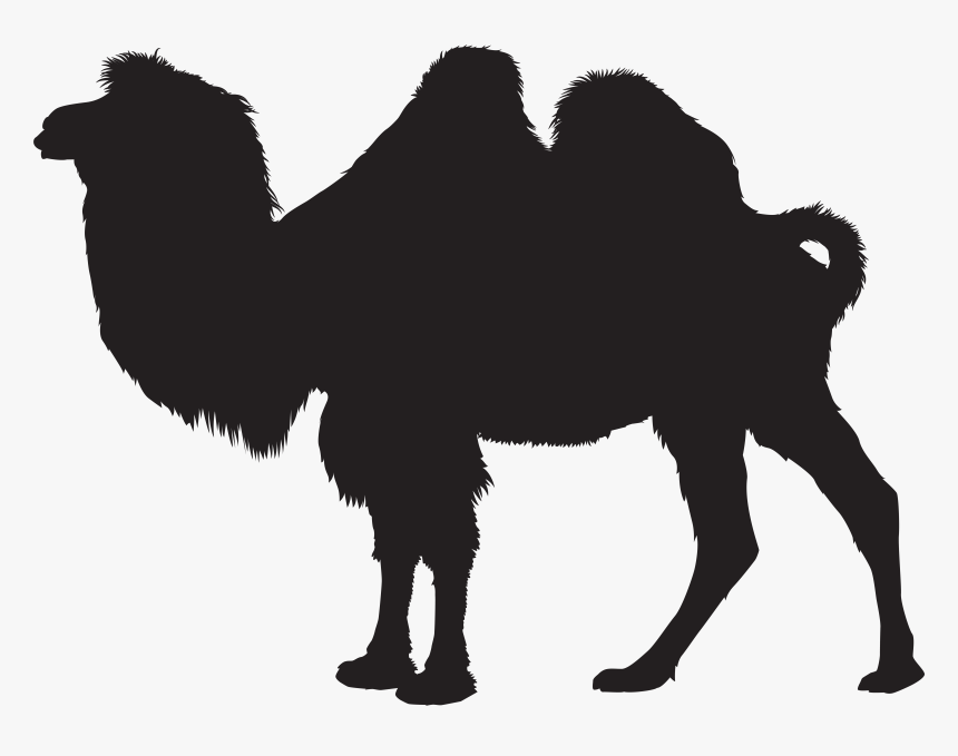 Camel Silhouette Png Clip Art Imageu200b Gallery Yopriceville - Bactrian Camel Silhouette, Transparent Png