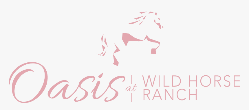 Calligraphy, HD Png Download