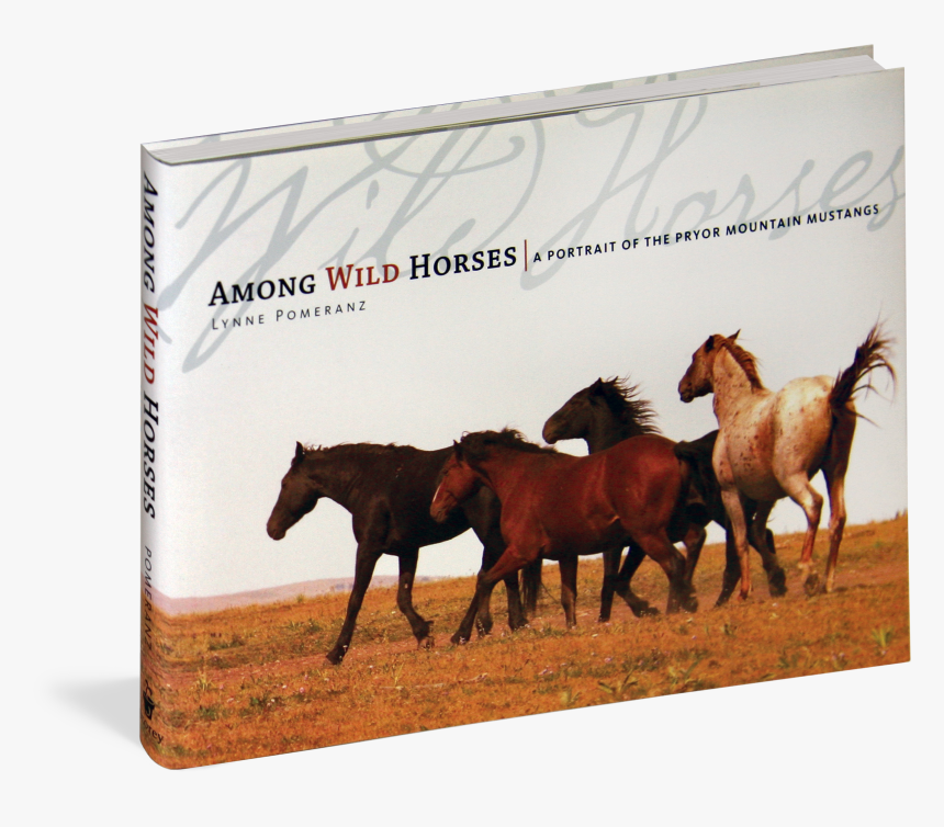 Cover - Wild Horse Mustang Quotes, HD Png Download