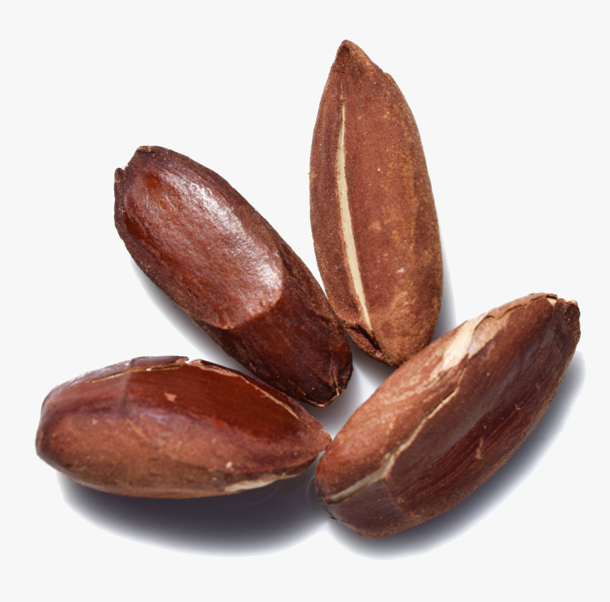 Nuts & Seeds, HD Png Download