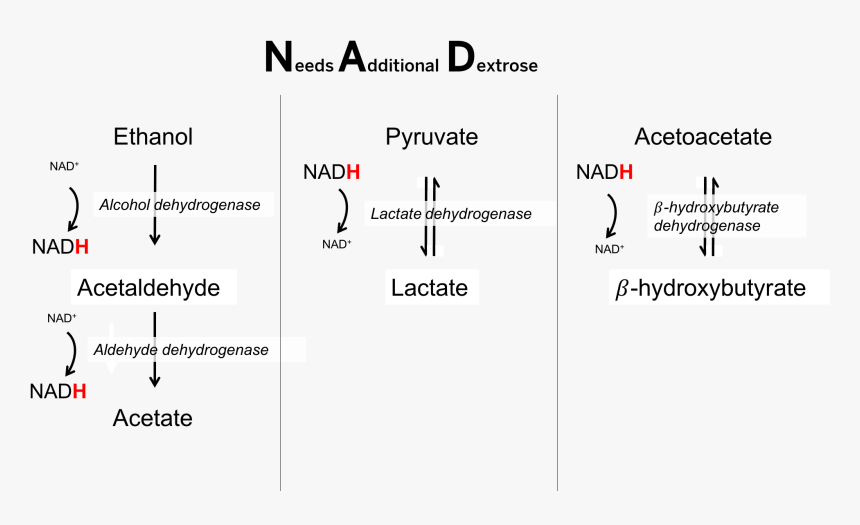 Number, HD Png Download