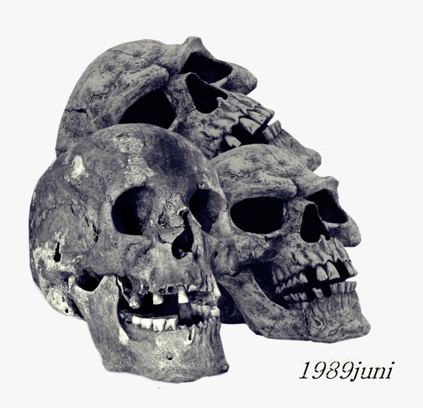 Transparent Pile Of Bones Clipart - Transparent Skull Png, Png Download