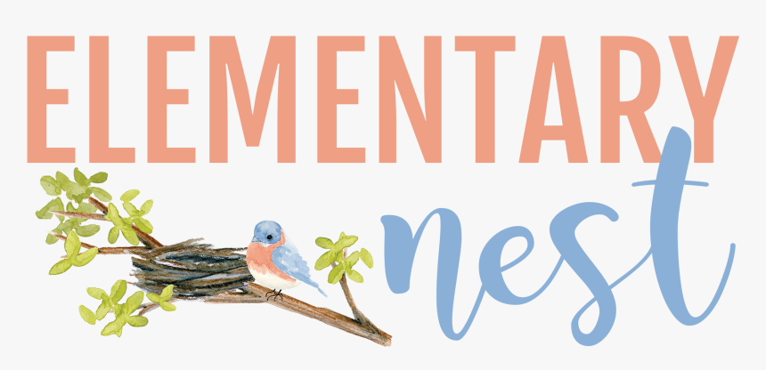 Elementary Nest - Budgie, HD Png Download
