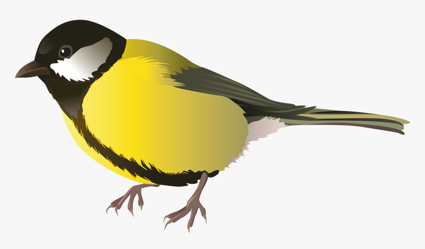 Cute Bird Transparent Image - Transparent Background Clipart Birds, HD Png Download