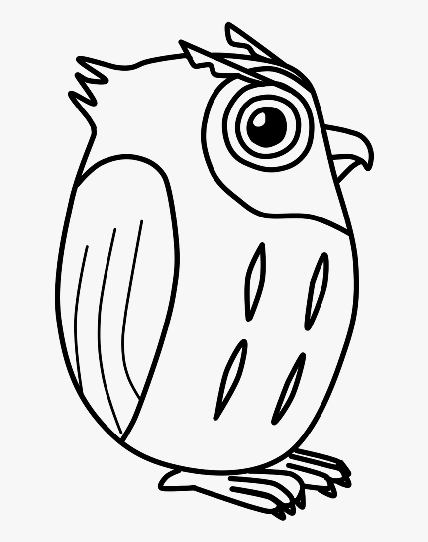 Owl, HD Png Download