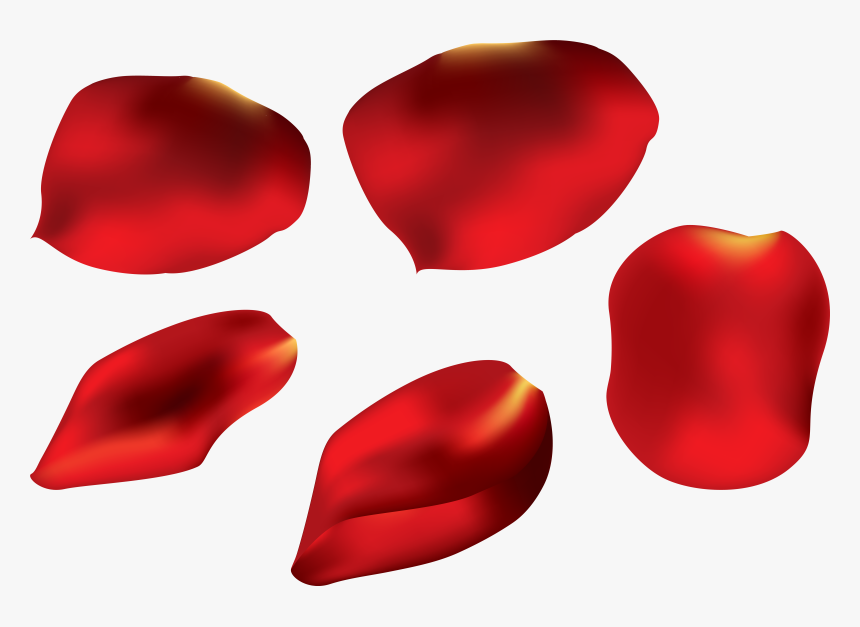 Rose Petals Flower Transparent Petal Png Download Free - Rose Petals Transparent Png, Png Download