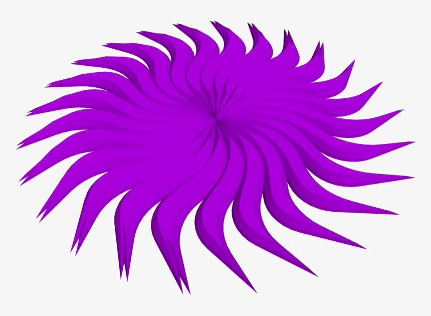 Circle Design, Swirl, Png, Design, Circle, Hq Photo - Flower, Transparent Png
