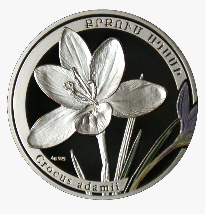 Am 1000 Dram Ag 2011 Crocus B - Medical College Of Georgia Decal, HD Png Download