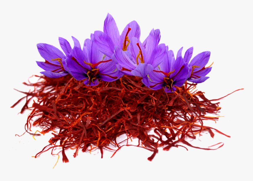 Saffron Png Image File - Kashmir Saffron Flower, Transparent Png