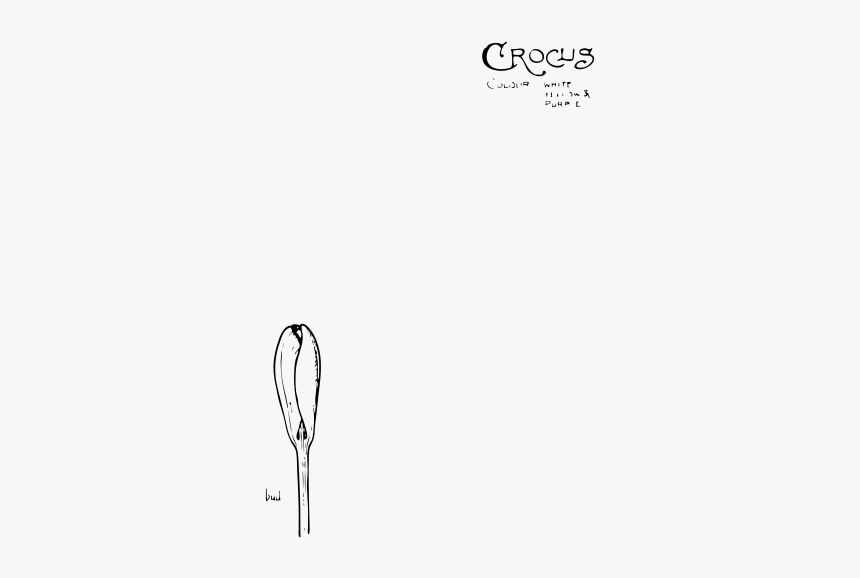 Crocus Svg Clip Arts, HD Png Download