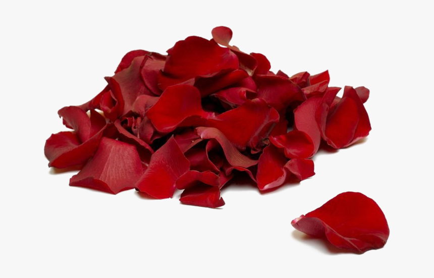 Rose Petal Png - Immortelle Doterra, Transparent Png