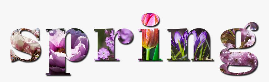 Spring Season Nature Background Violet Pink - Spring Season Images Hd, HD Png Download