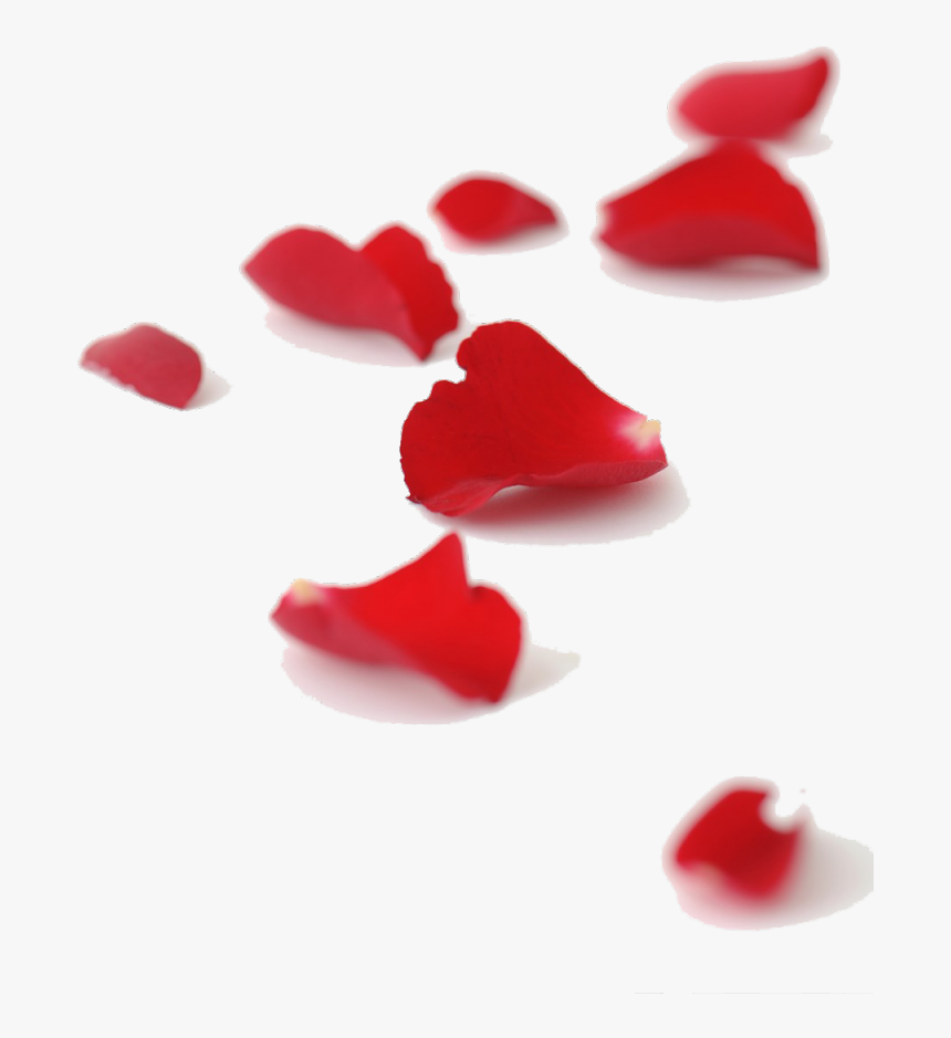 Falling Red Rose Petals Png, Transparent Png