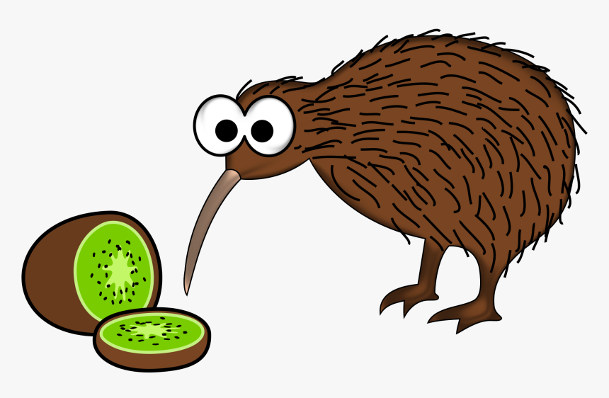 Kiwi Bird Png Clipart - Kiwi Bird Png, Transparent Png