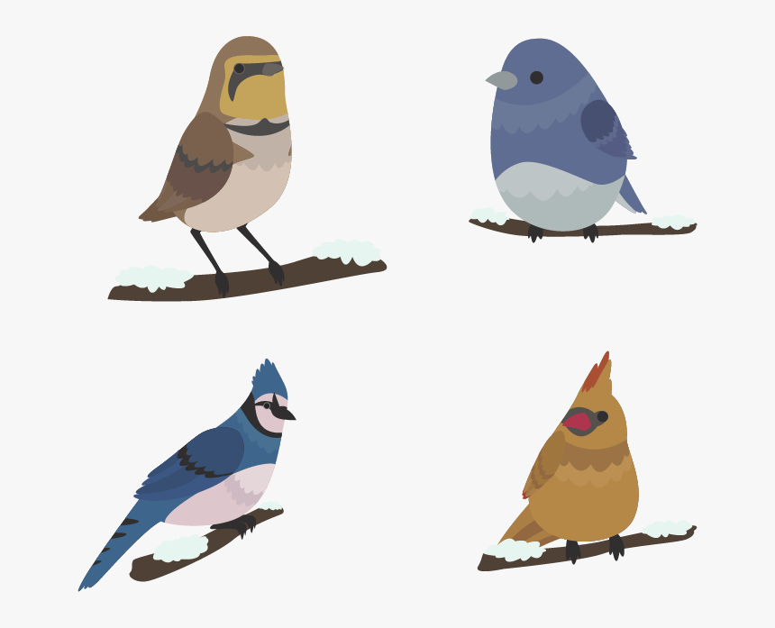 Bird Winter Euclidean Vector - Mountain Bluebird, HD Png Download