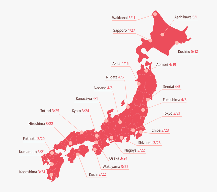 Cherry Blossom Forecast 2019, HD Png Download