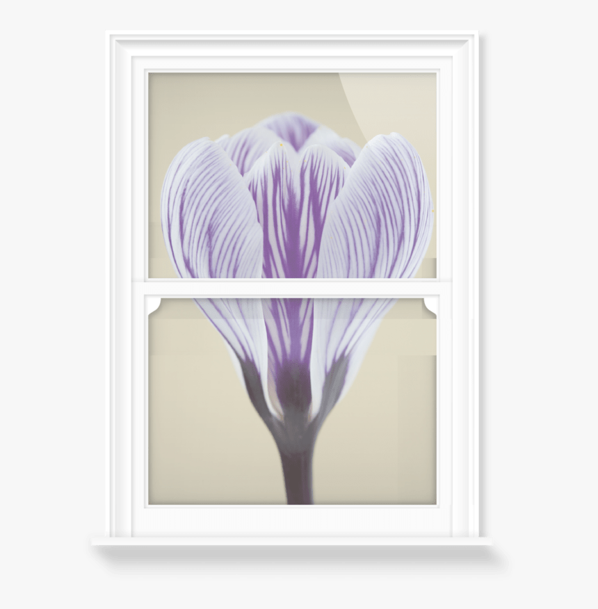 Window Film, HD Png Download
