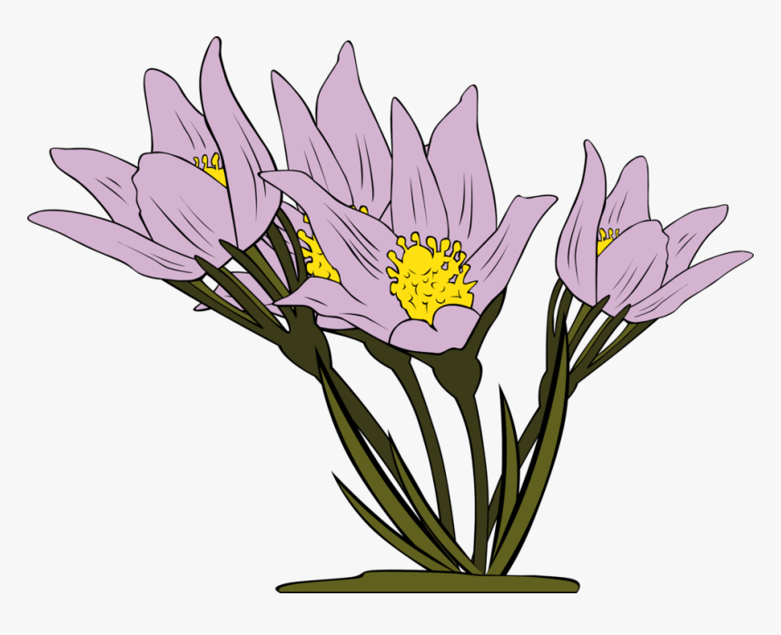 Iris Family,plant,flower - Flowers Clipart, HD Png Download