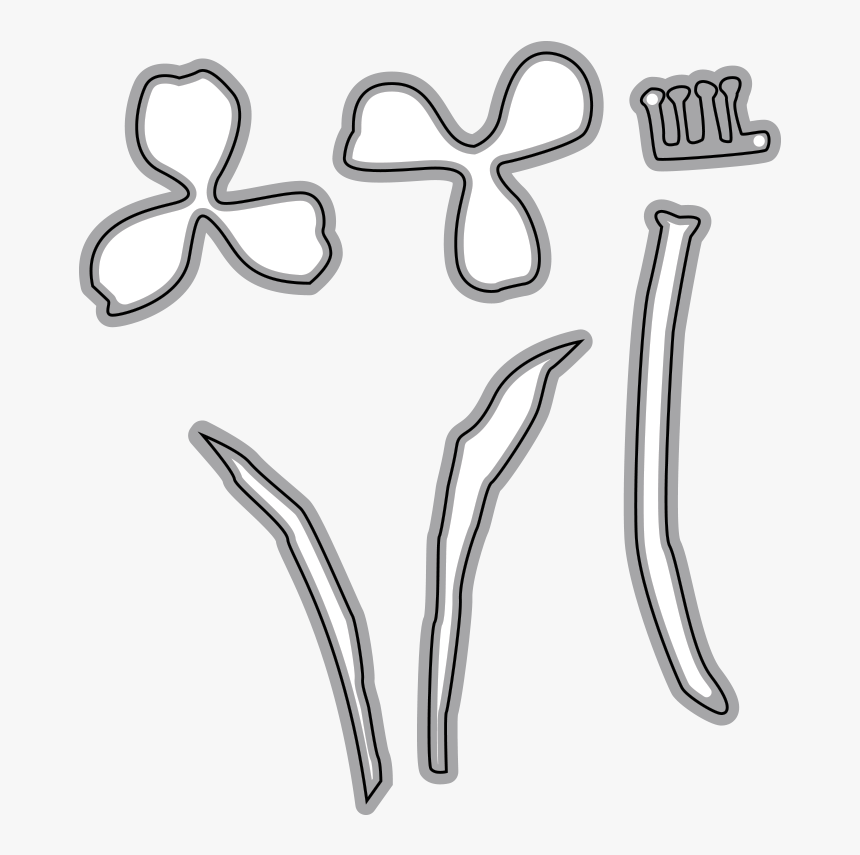 Garden Notes - Crocus - Line Art, HD Png Download