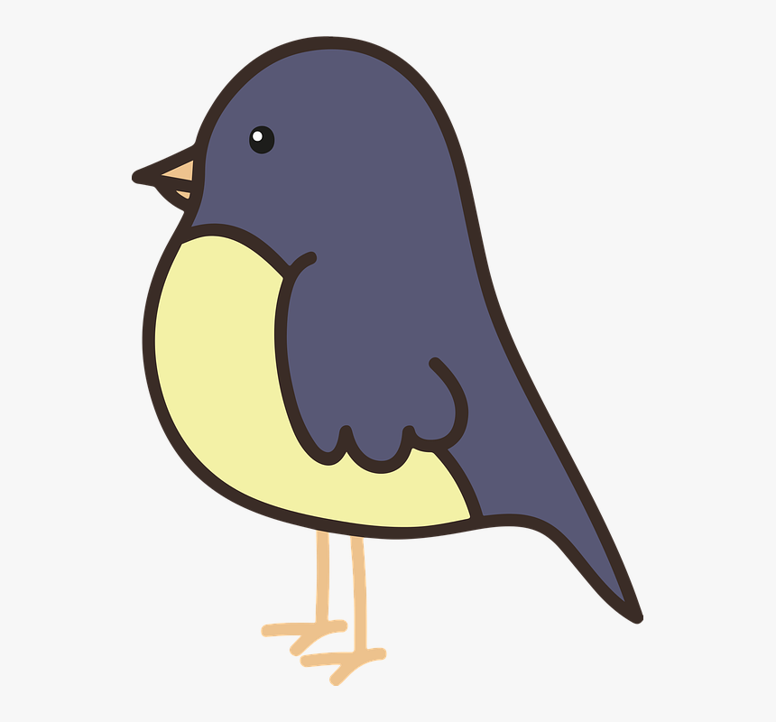 Bird, Cute, Ave, Fly, Flight, Birds, Plumage, Garden - Stummelschwanz Zwergtyrann, HD Png Download
