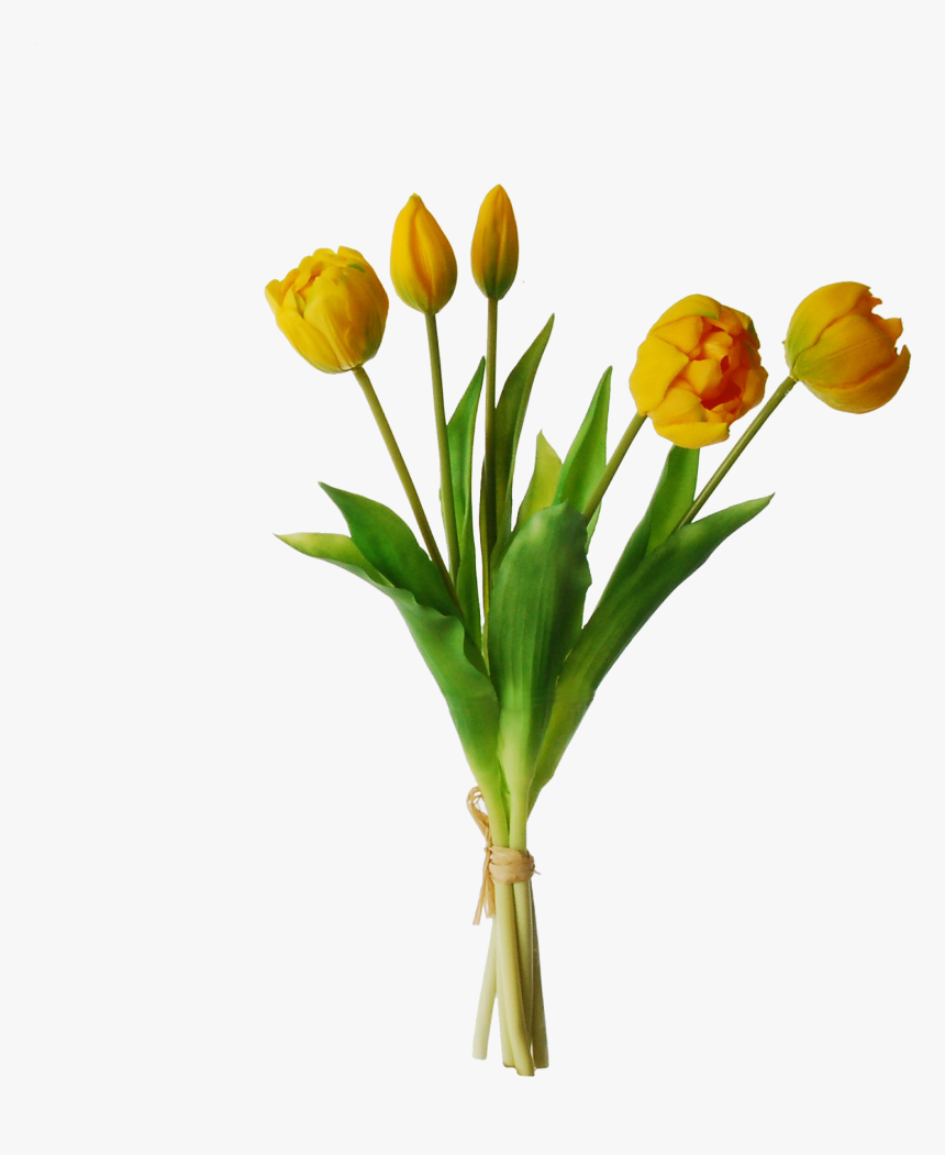 Yellow Tulips Png Transparent Image - Tulip 5, Png Download
