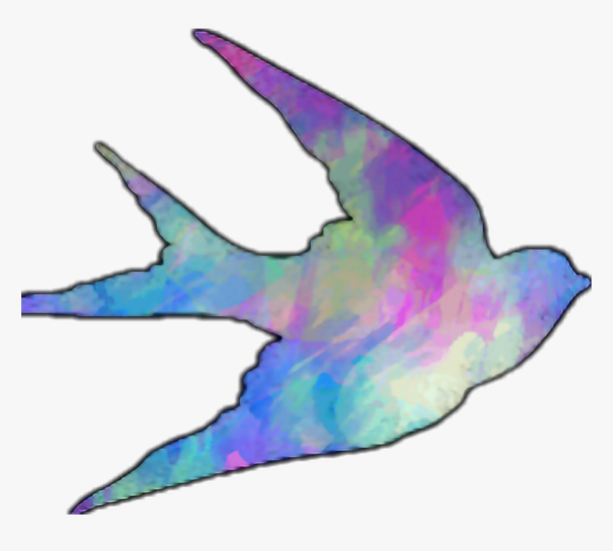 2k17 2017 Cute Bird Freetoedit Retro Vintage Nature, HD Png Download