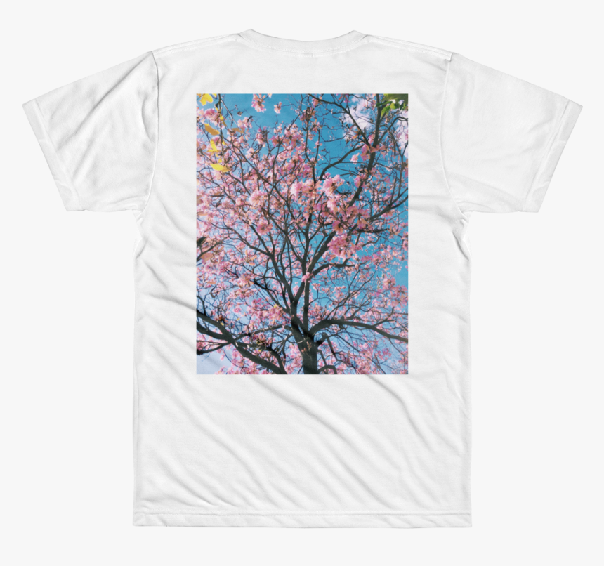 Transparent Cherry Blossom Branch Png - Fondos De Pantallas De Arboles Con Flores, Png Download