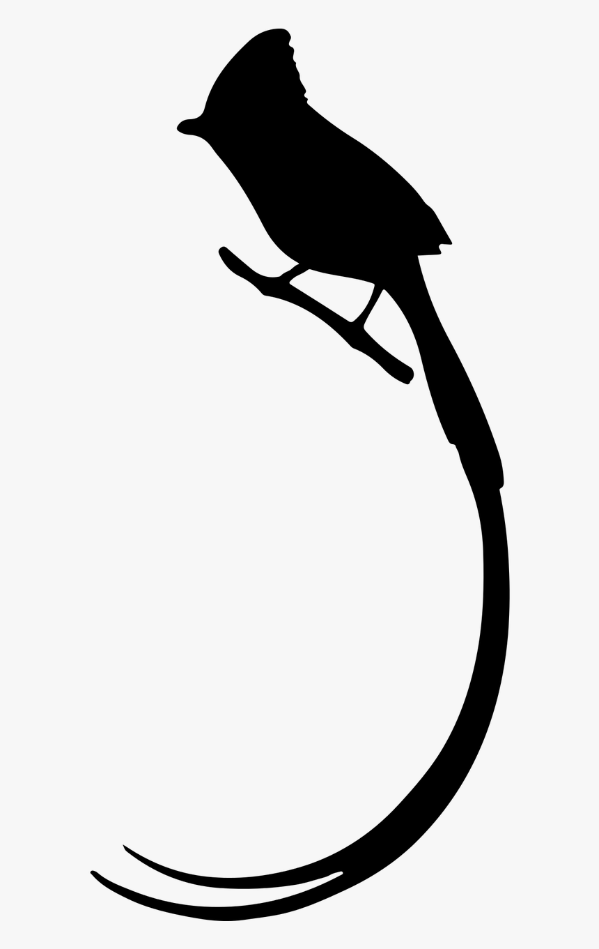 Bird Penguin Silhouette Tail Clip Art - Bird Long Tail Silhouette, HD Png Download