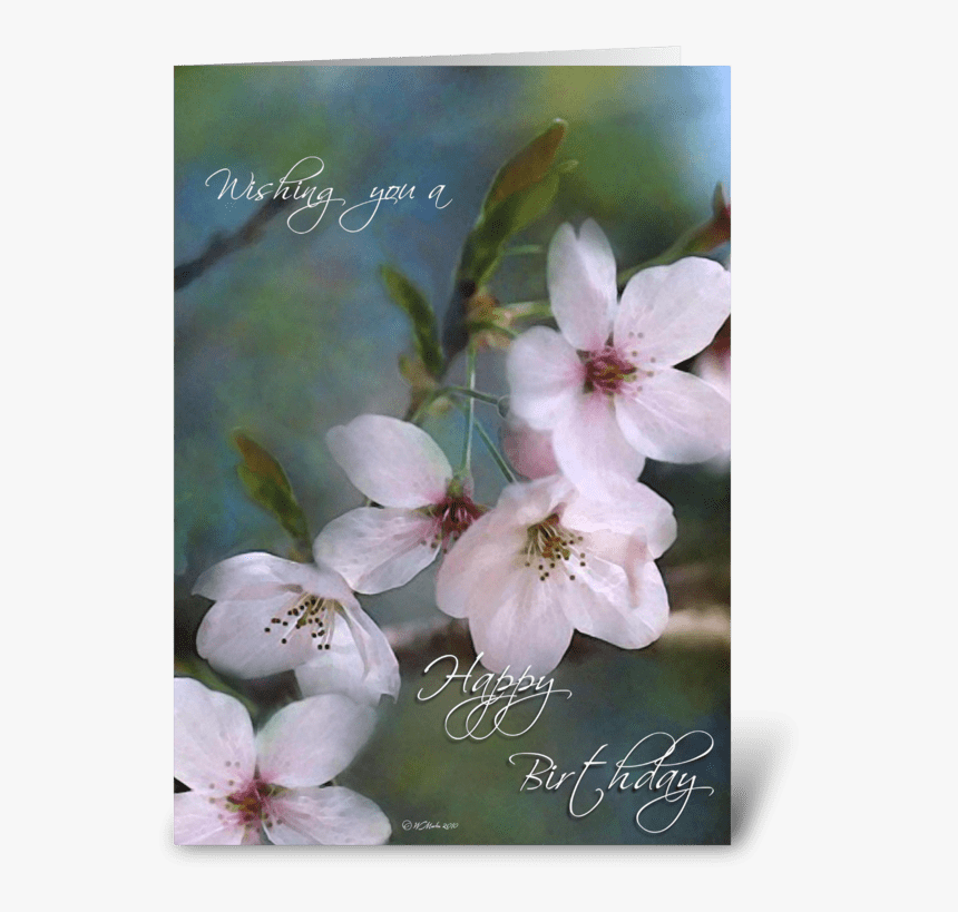 Spring Buds Birthday Card Greeting Card - Spring Buds Birthday Card, HD Png Download