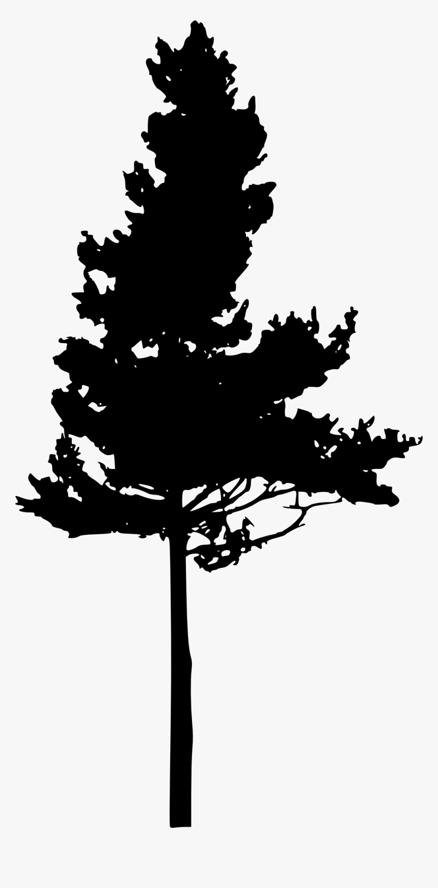 Silhouette Trees Png - Pine Tree Png Black, Transparent Png