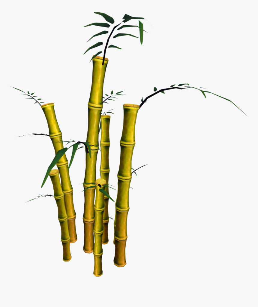 Bamboo Png, Transparent Png