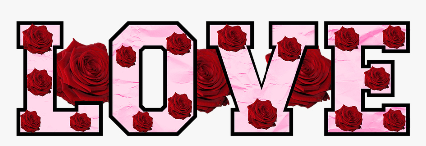 Love, Roses, Text, Flowers, Floral, Petal, Valentine - Garden Roses, HD Png Download